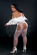Foto Immagine Diana Marini Trans 3280291220 - 155