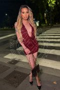 Foto Immagine Duda Castro Trans Milano 3293898373 - 49