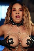 Foto Immagine Elena Transescort Pordenone 3272610799 - 82