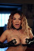 Foto Immagine Elena Transescort Pordenone 3272610799 - 95