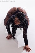 Foto Immagine Erika Escort Avellino 3385964983 - 17