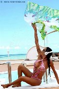 Foto Immagine Erotika Flavy Star Transescort Bergamo 3387927954 - 397