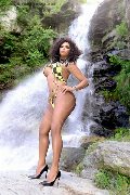 Foto Immagine Estrella Transescort Torino 3801783164 - 85