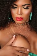 Foto Immagine Estrella Transescort Torino 3801783164 - 65
