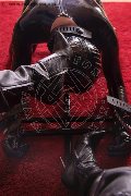 Foto Immagine Eva Lux Mistresstrans Viareggio 3271186085 - 33
