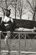 Foto Immagine Eva Lux Mistresstrans Villorba 3271186085 - 44