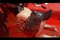 Foto Immagine Fantasia Mistress Padova 3485930348 - 48