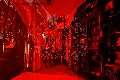 Foto Immagine Fantasia Mistress Padova 3485930348 - 7