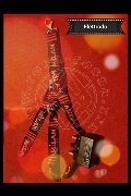 Foto Immagine Fantasia Mistress Padova 3485930348 - 57
