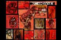 Foto Immagine Fantasia Mistress Padova 3485930348 - 26