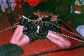 Foto Immagine Fantasia Mistress Padova 3485930348 - 152