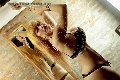 Foto Immagine Fellyna Big Cook Trans Pisogne 3510348633 - 18