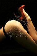 Foto Immagine Fenix Mistress Alessandria 3388830800 - 15