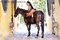 Foto Immagine Gabriellaxxl Brasile Trans Milano 3292213799 - 69