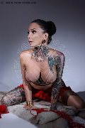 Foto Immagine Gaby Manzini Transescort Milano 3931497296 - 74