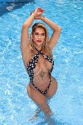 Foto Immagine Gaja Trans Ibiza 0034674836068 - 6