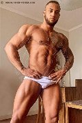 Foto Immagine Gilber Boy Lucca 3927848346 - 5