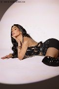 Foto Immagine Ginevra Grey Escort Padova 0046737588889 - 4