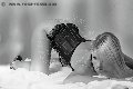 Foto Immagine Giuly Fragolina Transescort L'aquila 3270884325 - 14