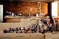 Foto Immagine Gloria Voguel Transescort Parma 3801476559 - 17