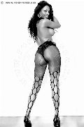 Foto Immagine Graicy Ohara Pornostar Transescort Colonnella 3897696422 - 6