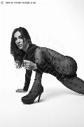 Foto Immagine Helena Meirelles Transescort Torino 3447974968 - 41