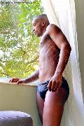 Foto Immagine Henrico Black Brasiliano Boy Lugano 0041767905209 - 1