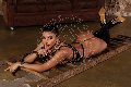 Foto Immagine Hillana Maya Trans Firenze 3515831873 - 14