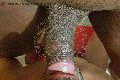 Foto Immagine Hot Carolina Hot Trans 3278147101 - 1