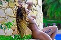 Foto Immagine Hot Leonna Pantera Trans Torino 3311701971 - 32