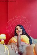 Foto Immagine Hot Luana Castrinni Transescort Milano 3931001131 - 12