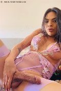 Foto Immagine Hot Roberta Maliziosa Transescort Alba Adriatica 3911614049 - 1