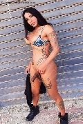 Foto Immagine Hot Sabry Trans Recife 005581995397865 - 3
