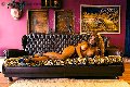 Foto Immagine Jessica Aryani Transescort Ponte Chiasso 3932507943 - 18