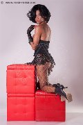 Foto Immagine Joy Seraphim Transescort Vicenza 3279007310 - 20