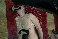 Foto Immagine Julia Mistress Cuneo 3762329100 - 12