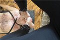 Foto Immagine Julia Mistress Cuneo 3762329100 - 13