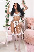 Foto Immagine Karina Rios Pornostar Transescort Como 3929382513 - 60