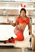 Foto Immagine Kate Travescort Milano 3519323214 - 20