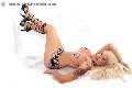 Foto Immagine Katia Tx Trans Roma 3511348883 - 14