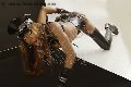 Foto Immagine Klaudia Transescort Brescia 3932452378 - 28