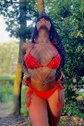 Foto Immagine Krissttal Ruizz Trans Bologna 3509582055 - 70