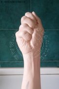 Foto Immagine Lady Amarantha Mistresstrans Nizza 0033751313968 - 11