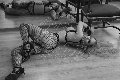 Foto Immagine Lady Kika Doncato Mistresstrans Verona 3937317905 - 6