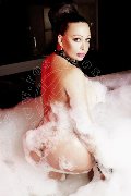 Foto Immagine Lady Marzia Trans Perugia 3932657485 - 11