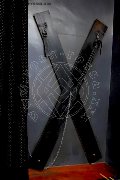 Foto Immagine Lady Paola Mistress Roma 3662563555 - 10
