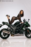 Foto Immagine Larissa Pornostar Trans Rimini 3392148480 - 6