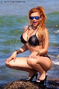 Foto Immagine Lasmy Trans Rovigo 3890475463 - 91