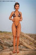 Foto Immagine Leona Girl An�polis 3337835540 - 5