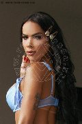 Foto Immagine Leticia Sexy Transescort Milano 3920816569 - 65